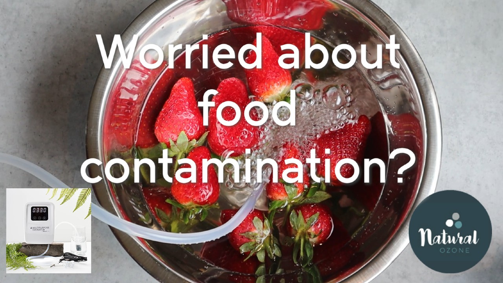 Food sanitisation with ozone water