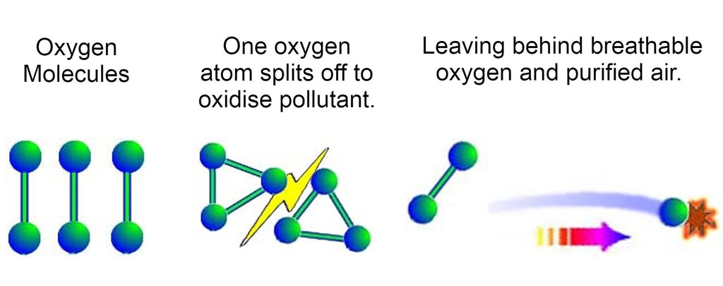 Understanding Ozone