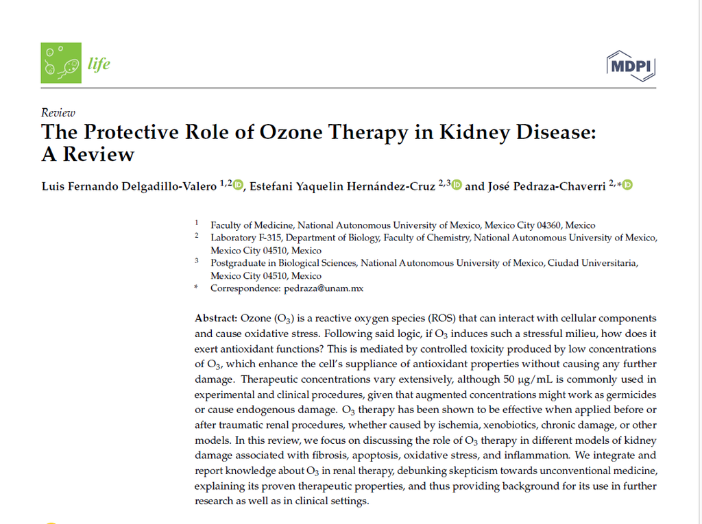 The protective role of ozone in kidney disease a review