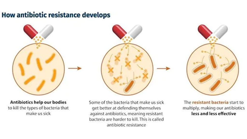 Can Anti-microbial Resistance be Cured?