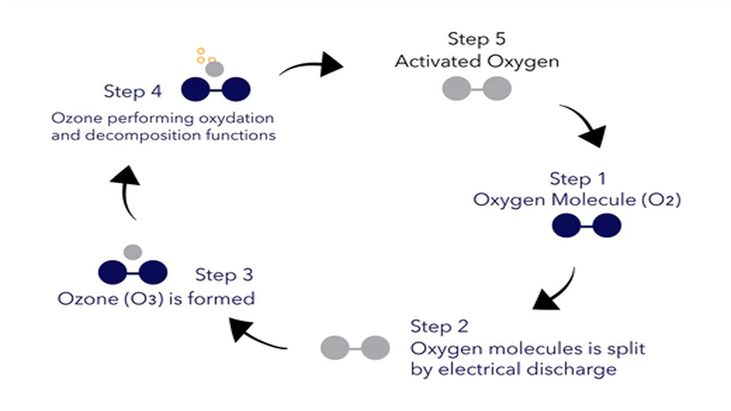 The oxidation effect in Ozone Therapy